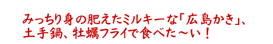 みっちり身の肥えたミルキーな「広島かき」、土手鍋、牡蠣フライで食べた～い！